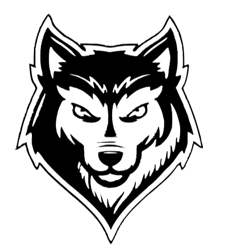 Home Basketball Game